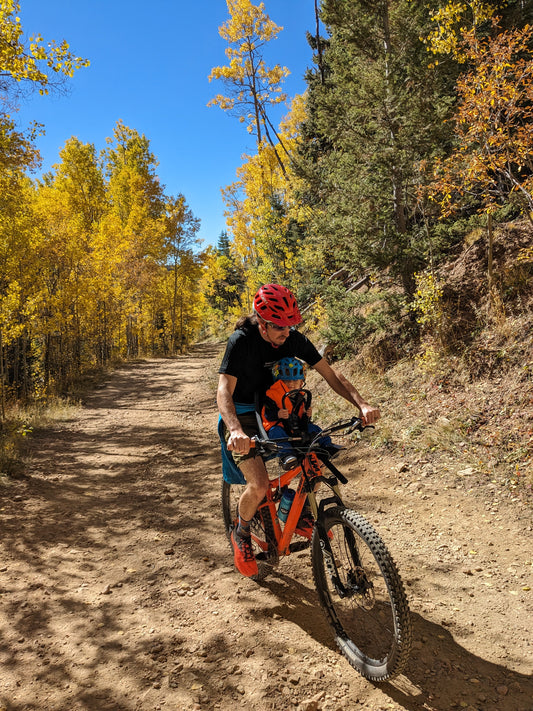 Thule Yepp Mini Review - Not Recommended - Kind of