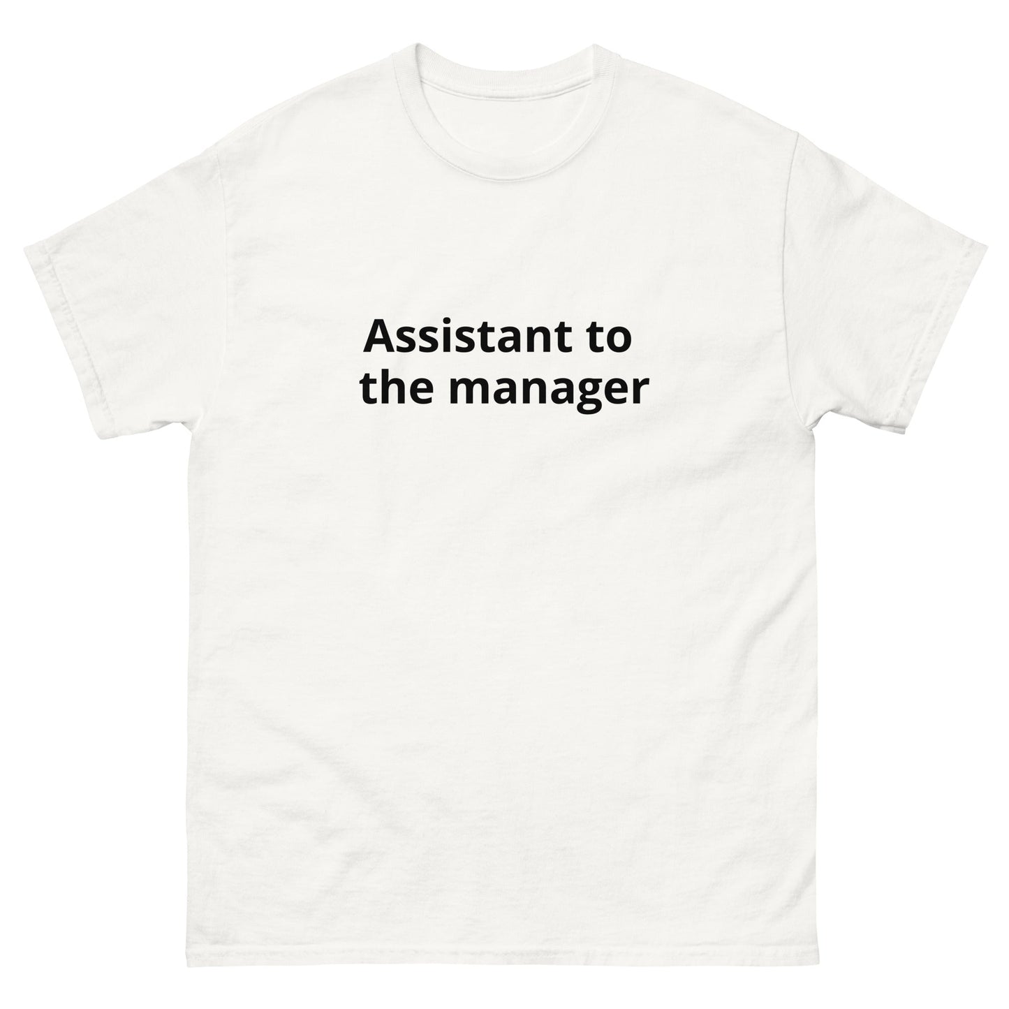 Assistant to the Manager | dAdventure - dAdventure