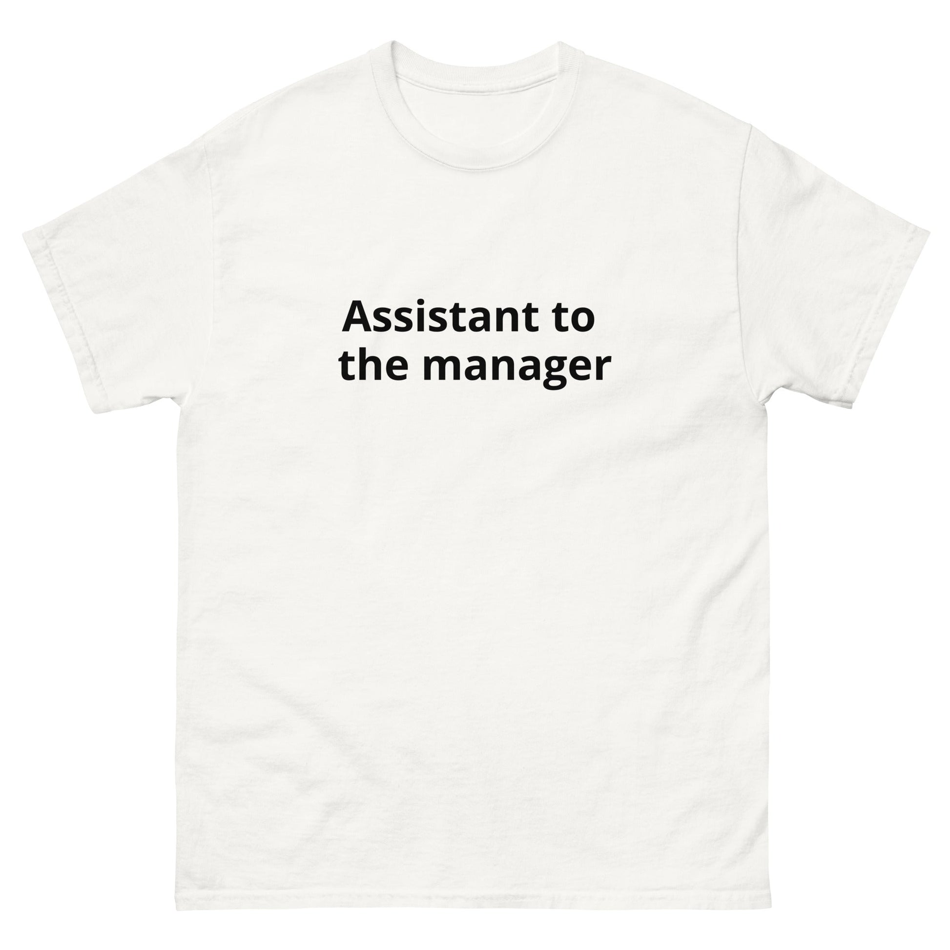 Assistant to the Manager | dAdventure - dAdventure