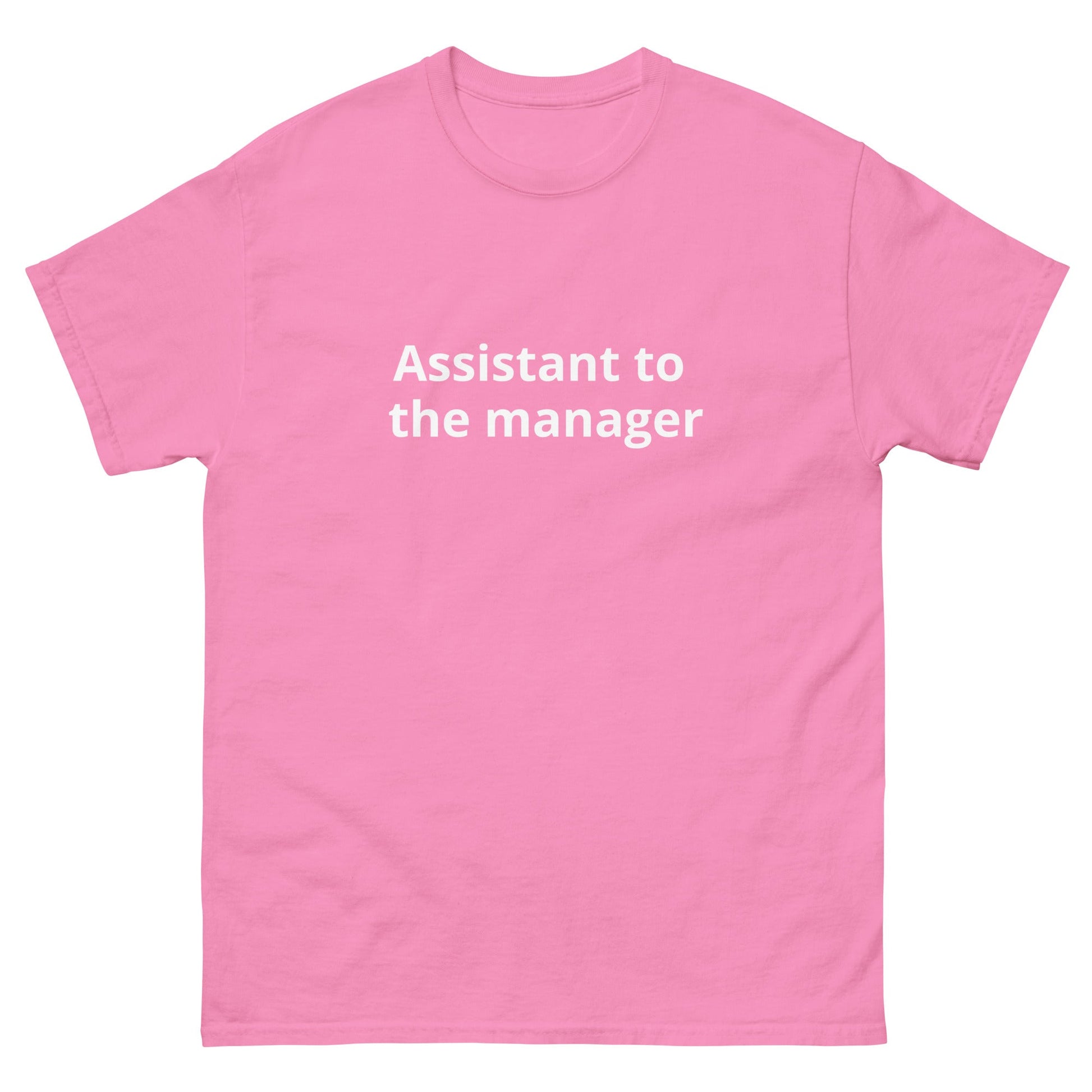 Assistant to the Manager | dAdventure - dAdventure