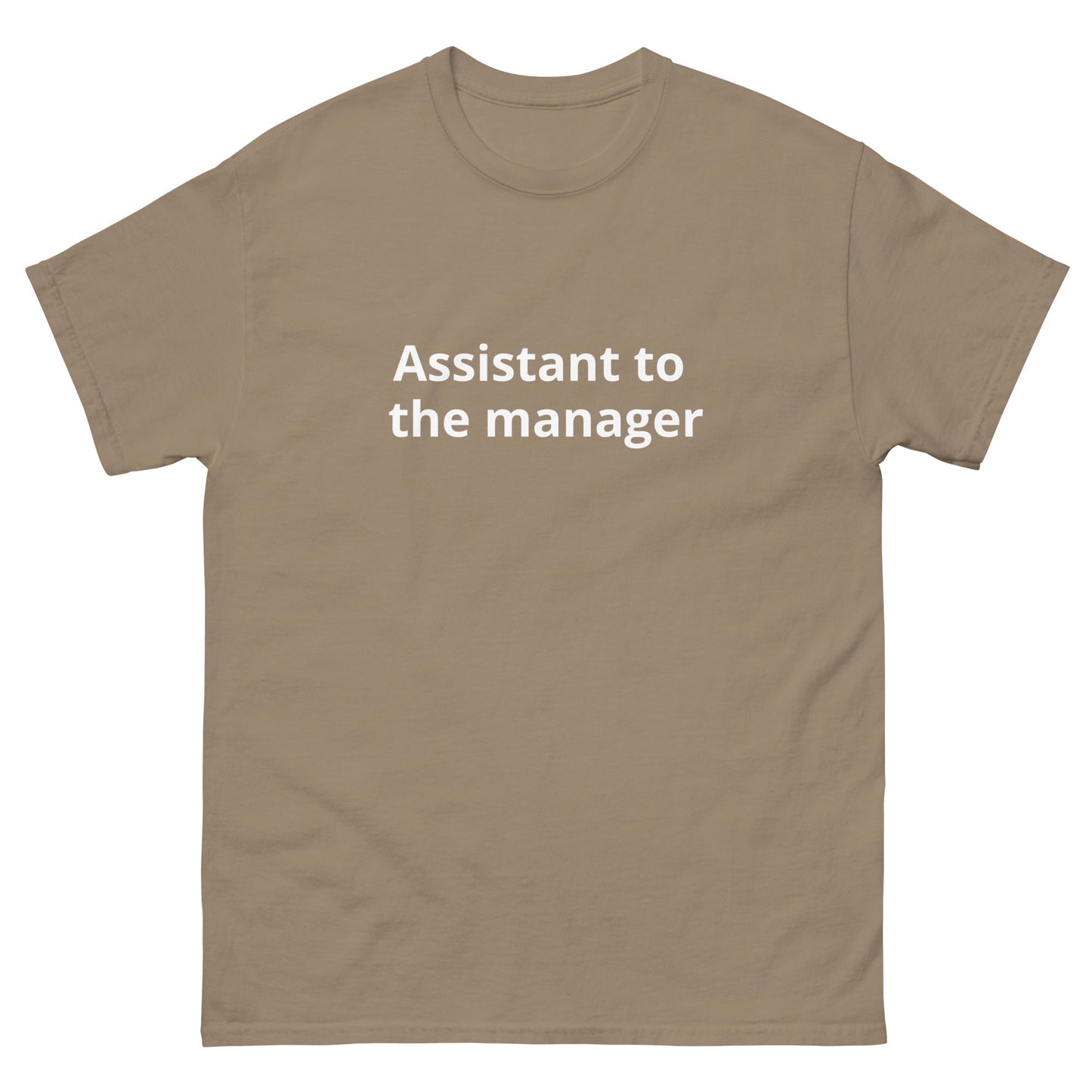 Assistant to the Manager | dAdventure - dAdventure