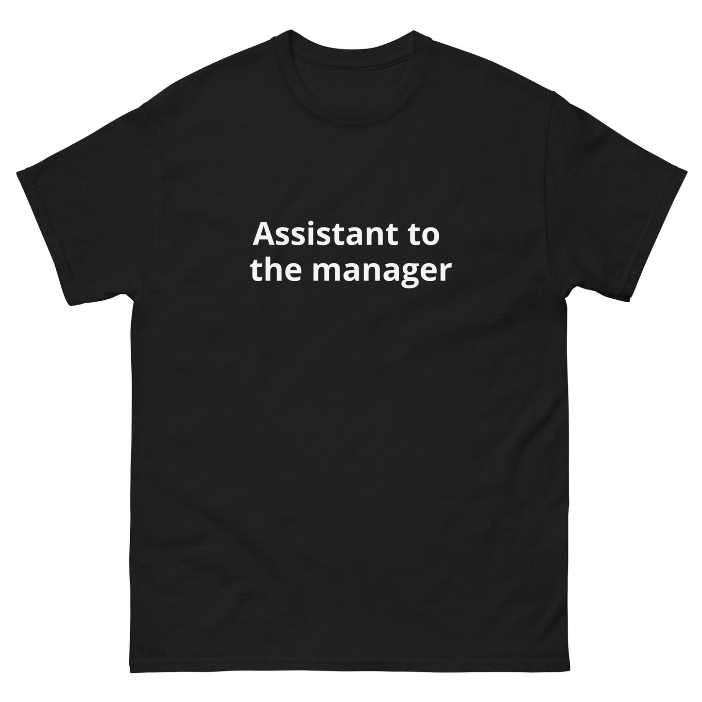Assistant to the Manager | dAdventure - dAdventure - T-shirt - Dad