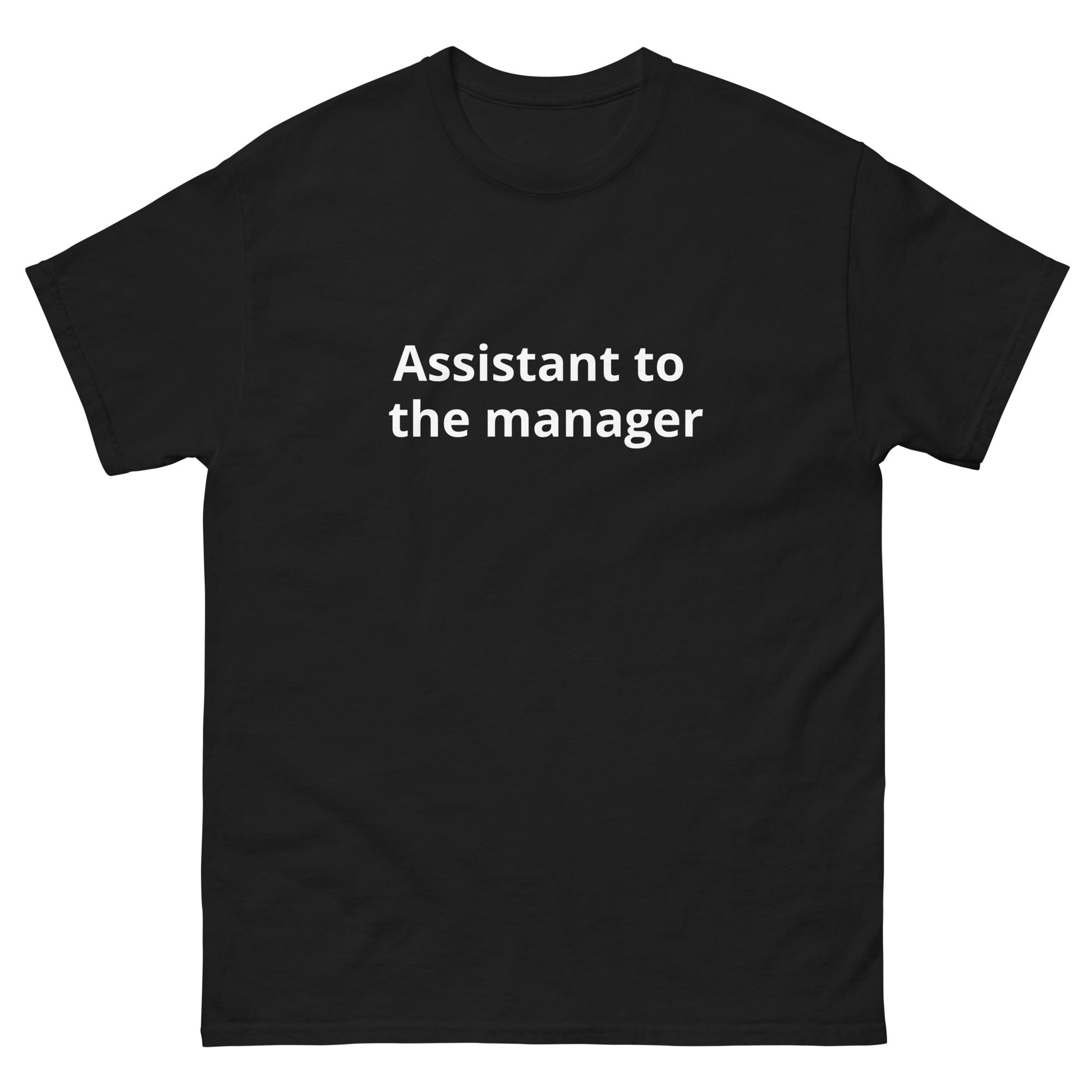 Assistant to the Manager | dAdventure - dAdventure - T-shirt - Dad