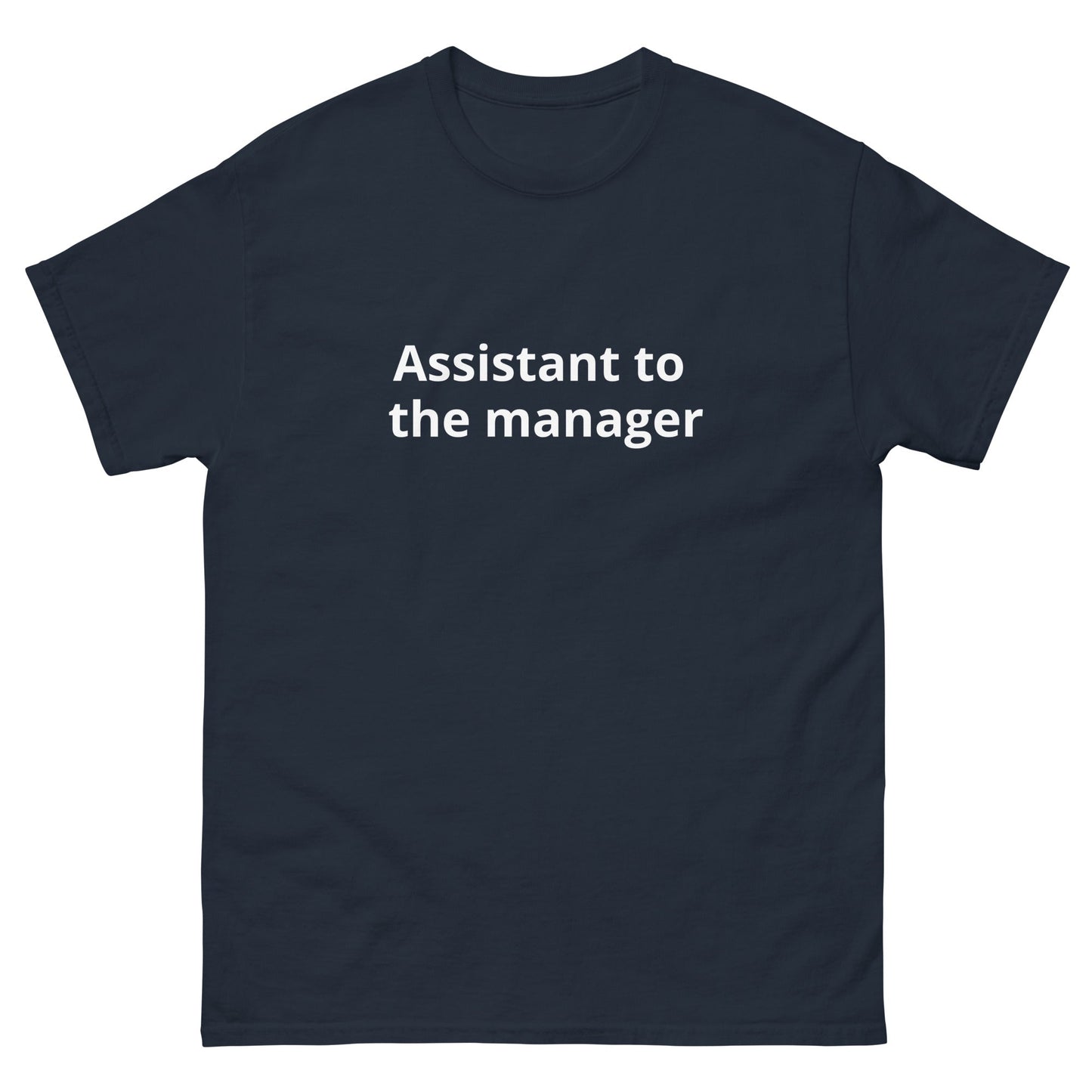 Assistant to the Manager | dAdventure - dAdventure