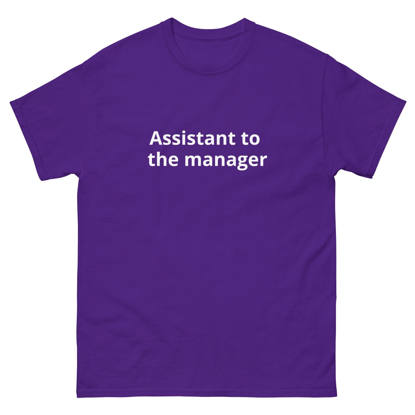 Assistant to the Manager | dAdventure - dAdventure
