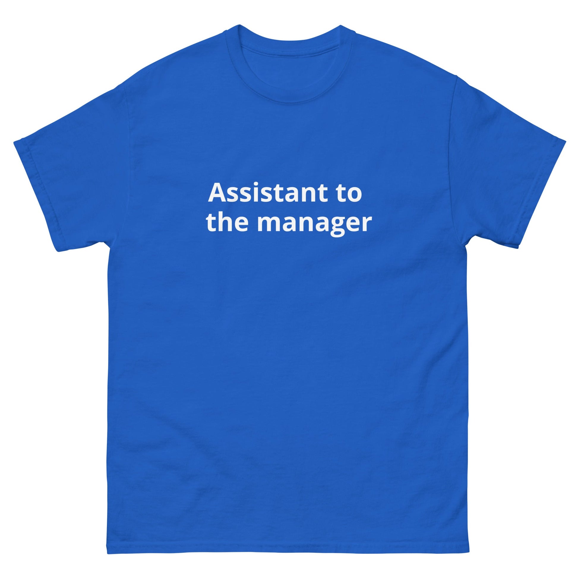 Assistant to the Manager | dAdventure - dAdventure