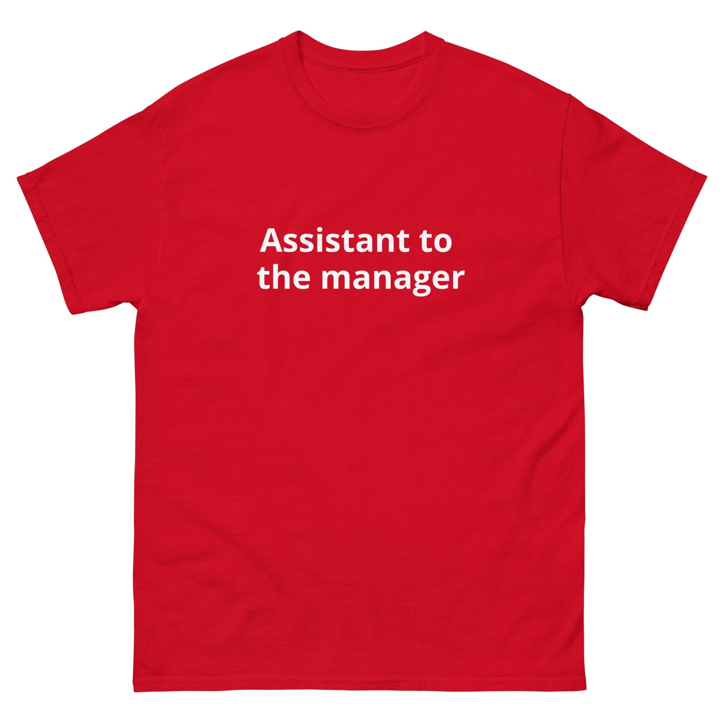 Assistant to the Manager | dAdventure - dAdventure