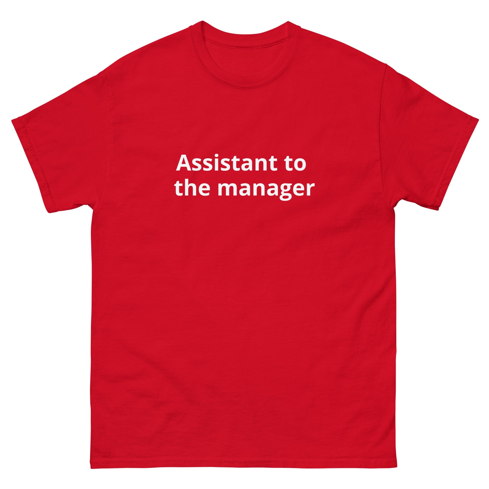 Assistant to the Manager | dAdventure - dAdventure
