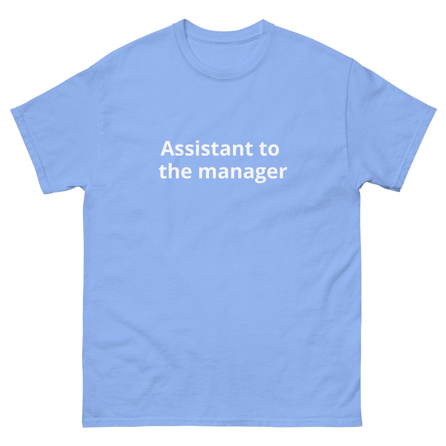 Assistant to the Manager | dAdventure - dAdventure